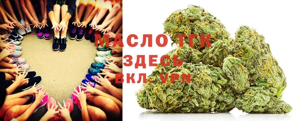 хмурый Абаза