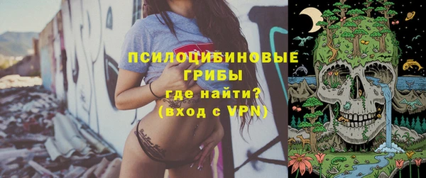 хмурый Абаза