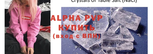 хмурый Абаза